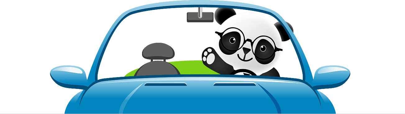 4a59a3f7-car-panda_1000000000000000000028